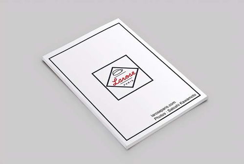 圖文之間 畫冊(cè)版式設(shè)計(jì)的藝術(shù)欣賞與制作要義